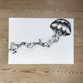Joss Gustavsson – Jellyfish